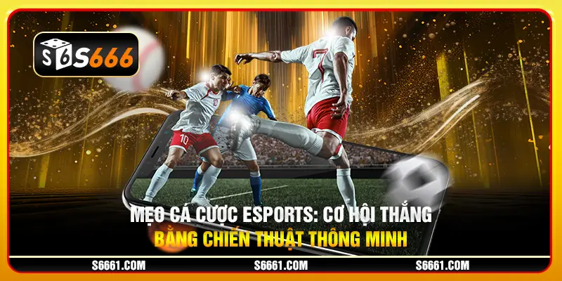 Mẹo cá cược Esports: Cơ hội thắng bằng chiến thuật thông minh