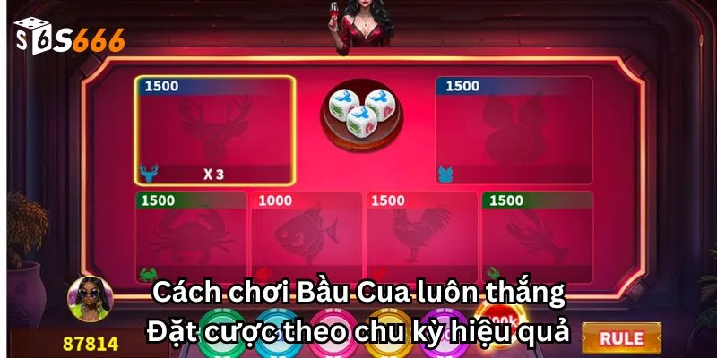 Cách chơi Bầu Cua luôn thắng: Đặt cược theo chu kỳ hiệu quả