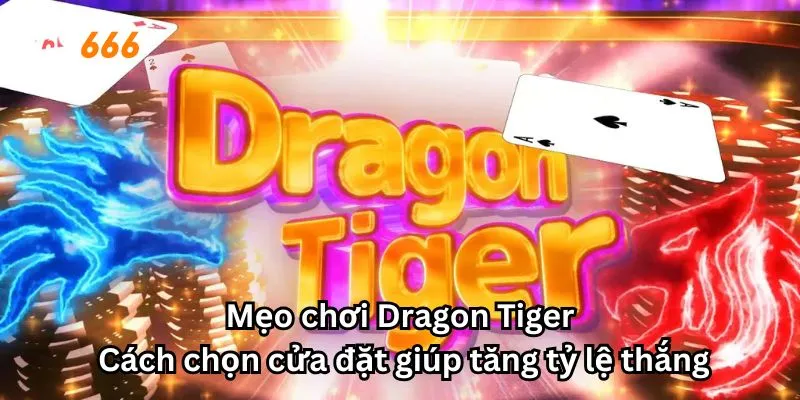 Mẹo chơi Dragon Tiger: Cách chọn cửa đặt giúp tăng tỷ lệ thắng